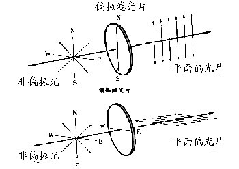 2009-12-28 弼˵ 005.jpg