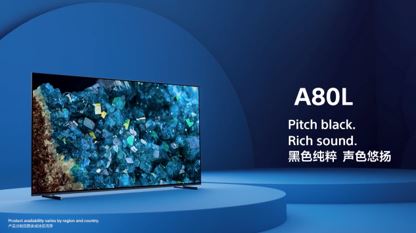 OLED A80L